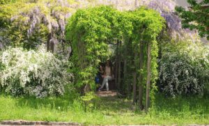 BEE Support Bewusstseinsbildung am Schulhof Foto: BORG Perg Bienengarten