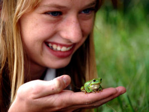 Laubfrosch-cEgger_zugeschnitten_01