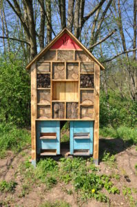 04_Fotobeleg_Wildbienen-Nisthilfen in der STMK 02_Johannes Gepp