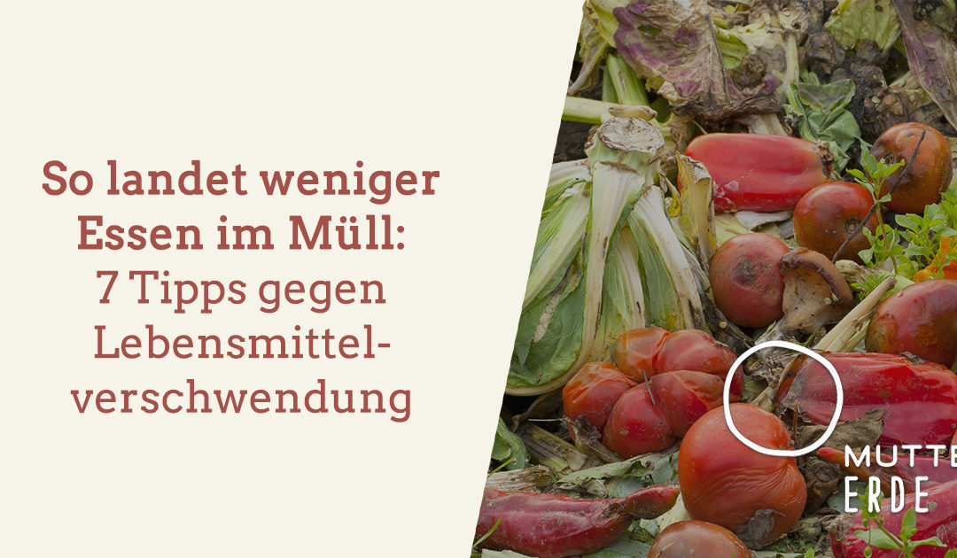 So landet weniger Essen im Müll: 7 Tipps gegen Lebensmittelverschwendung von den TeilnehmerInnen der „Essen verschwenden ist Mist“ – Challenge