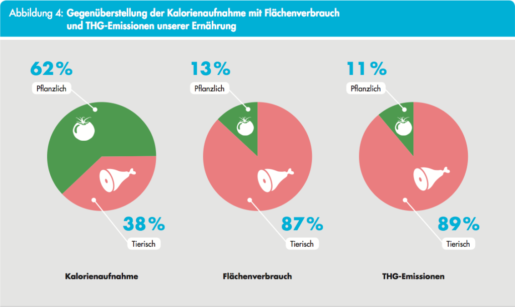 GLOBAL 2000 Studie Ernährung Fleischkonsum Flächenverbrauch THG