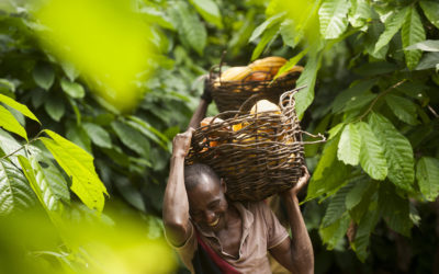 FAIRTRADE – seit 25 Jahren die dritte Säule der Nachhaltigkeit