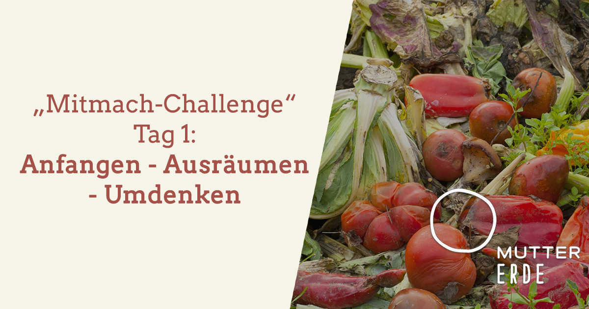 mitmach-challenge-tag-1