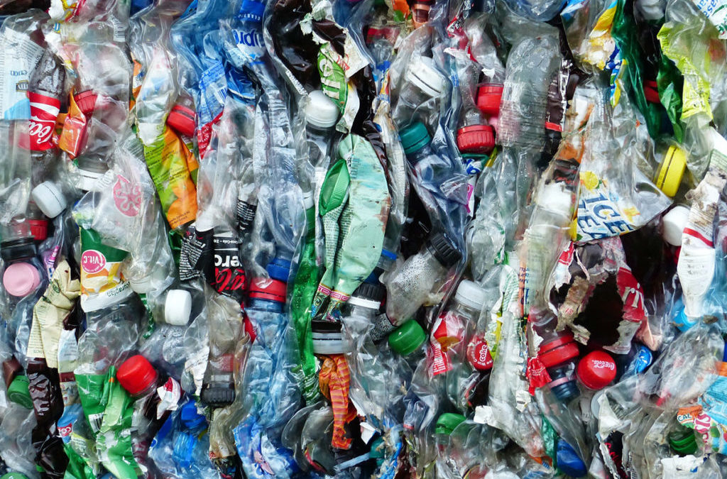 Generation Plastik – Ein Problem, das uns alle trifft