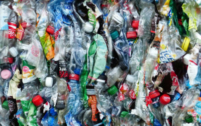 Generation Plastik – Ein Problem, das uns alle trifft