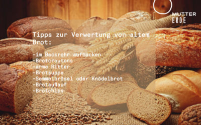 Altes Brot nutzen und Klima schützen