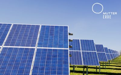 12 „Gute-Energie-Tipps für den Frühling“