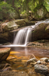 klima-schuetzen-arten-schuetzen-mutter-erde-schwerpunkt-2021-fluss