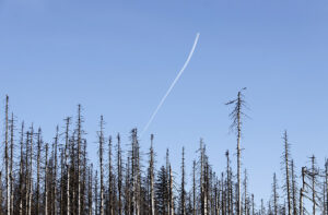 klima-schuetzen-arten-schuetzen-mutter-erde-schwerpunkt-2021-blauer-himmel