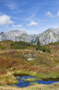 klima-schuetzen-arten-schuetzen-mutter-erde-schwerpunkt-2021-moor-berge-blauer-himmel